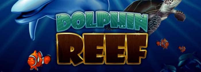 สล็อตpt_Dolphin_Reef