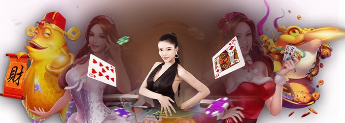 WY88BETS- WY88ASIA - 001.0.00.03