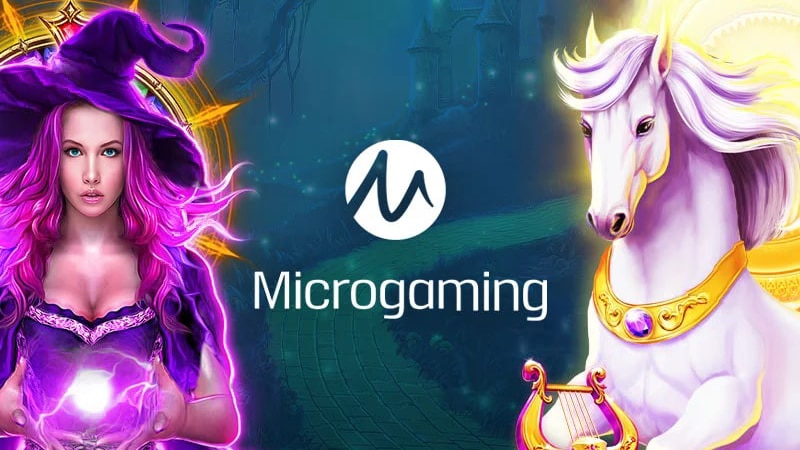 WY88ASIA-Microgaming Plus-005