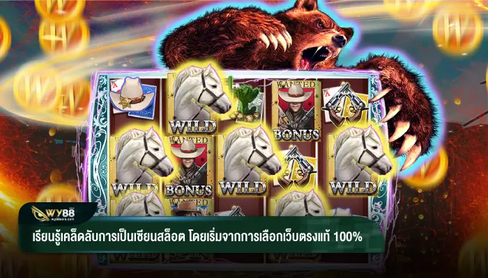 เรียนรู้เคล็ดลับการเป็นเซียนสล็อต โดยเริ่มจากการเลือกเว็บตรงแท้ 100%